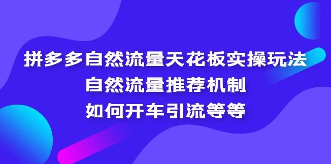 拼多多自然流量天花板实操玩法：自然流量推荐机制，如何开车引流等等