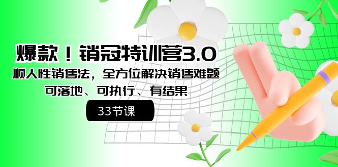 爆款！销冠特训营3.0之顺人性销售法，全方位解决销售难题、可落地、可执行