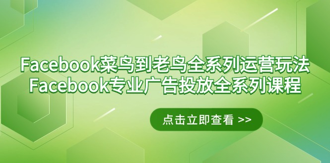 Facebook-菜鸟到老鸟全系列运营玩法+Facebook-专业广告投放全系列课程