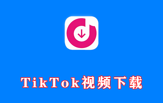 电脑端 TikTok视频无水印下载器 4K Tokkit 专业激活版