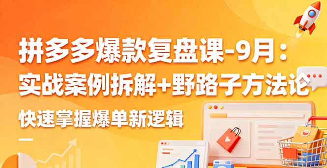 拼多多爆款复盘课:实战案例拆解+野路子方法论,快速掌握爆单新逻辑