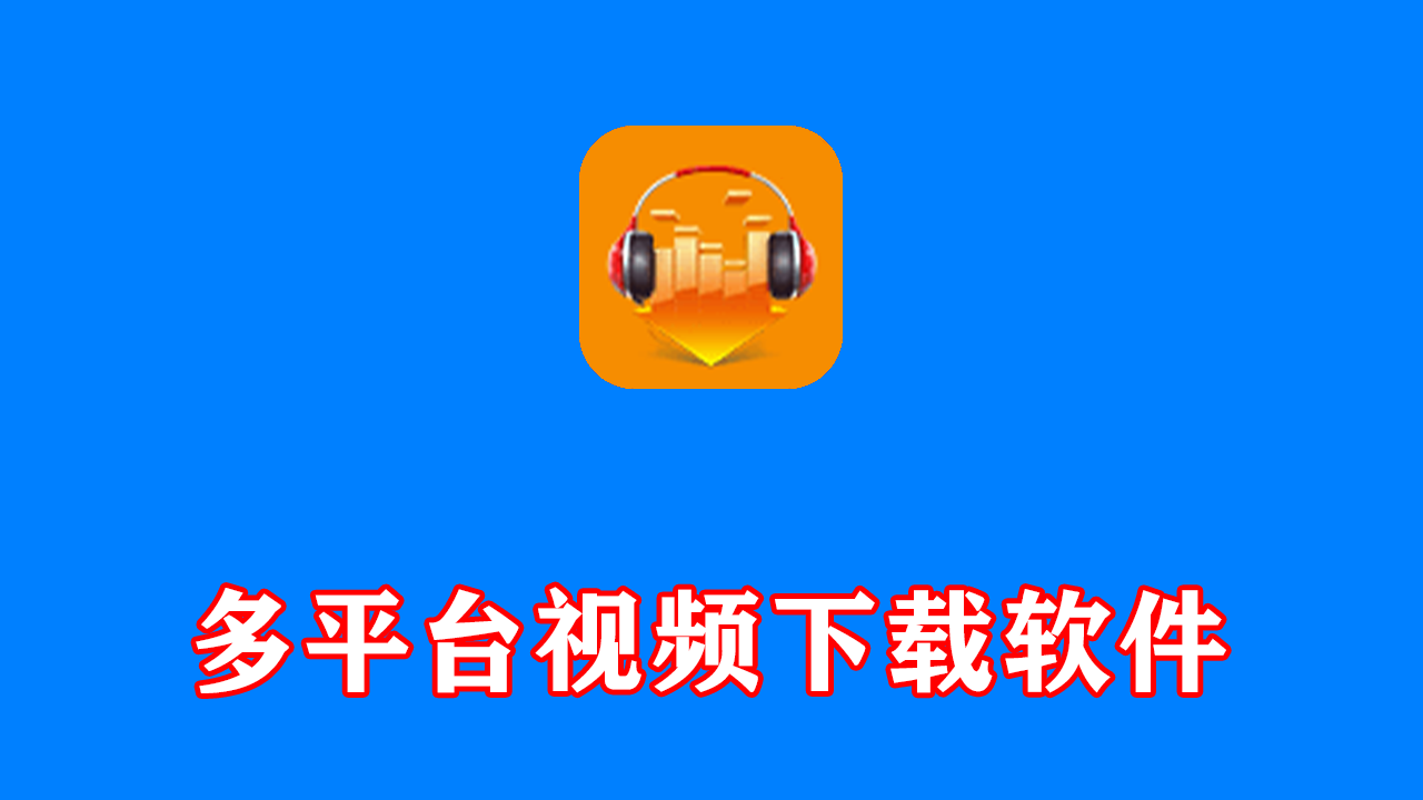 DLNow Video Downloader v1.56.2026.05.18 多语便携版
